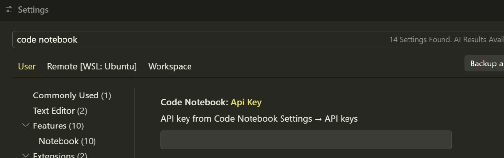 VS Code Settings page with Code Notebook Api Key field after searching code notebook